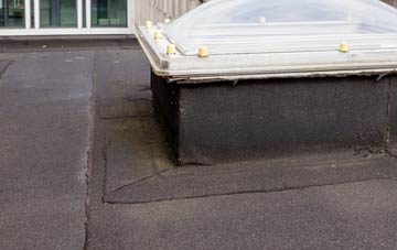 disadvantages of Lower Largo flat roofs